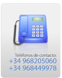 Telefono de contacto